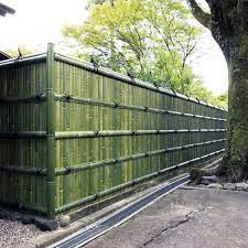 Take a look at this modern design ideas. Top 50 Best Bamboo Fence Ideas Backyard Privacy Designs