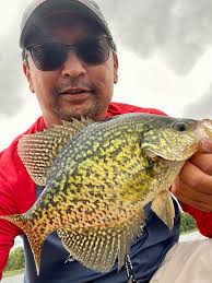 Great fishing expected through 4th of July in Chitina area