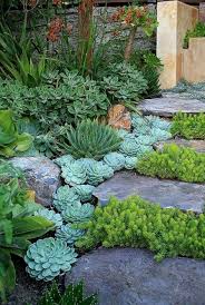 Gardenbeamflower Succulents As Edging Succulent Garden Design Succulent Landscape Design Rock Garden Landscaping