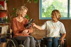 #penguinbloommovie, starring naomi watts, in cinemas january 21.penguin bloom tells the true story. Glendyn Ivin S Penguin Bloom Wins Plaudits After Toronto Premiere If Magazine