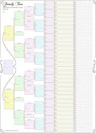 Family Tree Chart Compact 8 Generation Pedigree Chart 120g Paper Coloured Folded