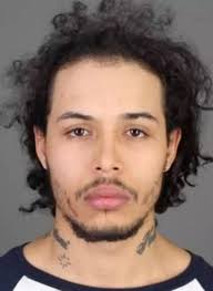 Police: Kingston Man Pulled Knife While Abusing Dog