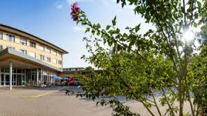 Demenz Symptome Formen Folgen Reha