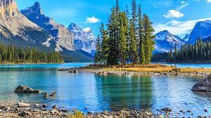 Paljud immigrandid on säilitanud oma identiteedi ja elavad sageli kompaktsete rühmadena. Natucate Blog Canada Alberta Natucate