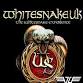 Whitesnake UK & Van Halen UK event in Bilston
