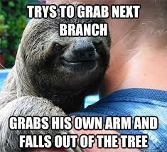 Trys To Grab Next Branch Grabs His Own Arm And Falls Out Of The Tree Suspiciously Evil Sloth Quickmeme