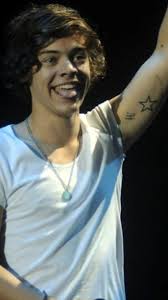 Oops! Hi Larry Stylinson Matching Tattoos Explained