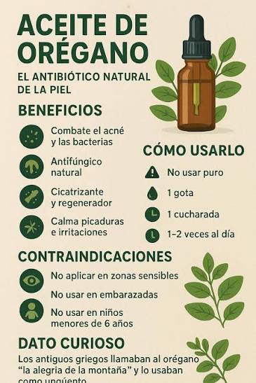 El secreto del orégano que mejora la piel para dejarla suave como la de un  bebé https://ow.ly/uagW50UzVLf El remedio casero solo precisa de dos  ingredientes que todos tenemos en nuestras casas.