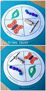 In This Project The Children Will Make A Chart With The Life Cycle Of A Butterfly They Will Make The Proj Preschool Activities Bug Activities Preschool Crafts