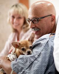 Celebrating our pet therapy dogs