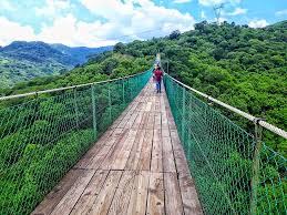 Puente Colgante En Mazamitla Jalisco Viaje Con Amigas Ciudad Magica Puentes
