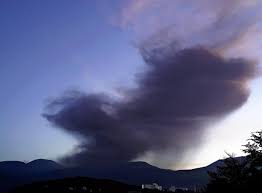 Brandi Passante ultimate gallery - A must-see for admirers