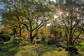Le Jardin Zen D Erik Borja Jardin D Artiste A Beaumont Monteux Drome Jardin Zen D Erik Borja