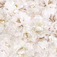 Nuwallpaper mirei vinyl peel & stick wallpaper roll (covers 30.75 sq. Beige Flower Wallpapers Top Free Beige Flower Backgrounds Wallpaperaccess