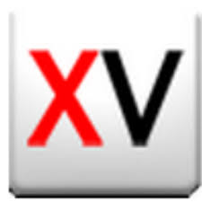Image result for Xvideos
