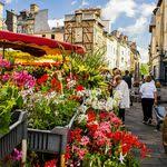 epingle sur rennes