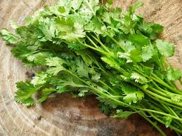 The information on the medicinal plants was obtained from interview with a traditional medicinal man. 15 Herbs That You Can Easily Grow At Home In Malaysia Propertyguru Malaysia