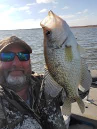 Why can't I catch sea bass