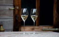 The Best White Wine Glasses: Tested and Reviewed by Experts