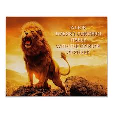Sheep do provide wool, and they're generally cuter than lions. Roaring Lion Art With Quote On Strength And Wisdom Poster Zazzle Com