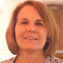 Vincent Fortney's Instagram, Twitter & Facebook