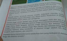 Check spelling or type a new query. Ide Pokok Paragraf 1ide Pokok Paragraf 2ide Pokok Paragraf 3ide Pokok Paragraf 4ide Pokok Paragraf Brainly Co Id