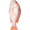 Heera Fish (Red Snapper) in Karachi, Pakistan + Free Shipping in 3 KG