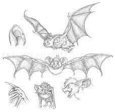 Pin On Drawing Ideas