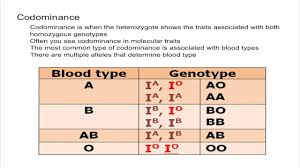 In general, it is a genetic situation where there is neither a dominant or a. Codominance And Multiple Alleles Youtube