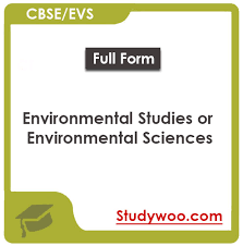 Kids would love solving these birds worksheets for grade 3 as these comprise birds and their names and identify them from their pictures. Download Cbse Class 3 Evs Worksheets 2021 22 Session In Pdf Study Woo