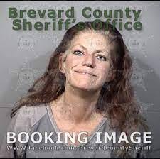 Amy Fosnot's Instagram, Twitter & Facebook