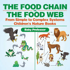 Food chains can link together to form food webs. The Food Chain Vs The Food Web From Simple To Complex Systems Children S Nature Books Professor Baby 9781541938212 Amazon Com Books
