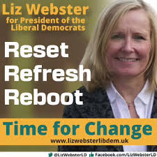 @LizWebsterSBF's video Tweet