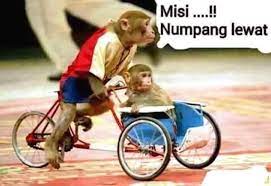 Pahami bahwa whatsapp memperlakukan stiker seperti gambar. Kumpulan Gambar Lucu Komentar Facebook Funny Laughest Super Cute Animals Funny Animal Pictures Newborn Animals