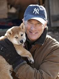 kak snimali zhivotnyh hatiko flipper i drugie richard gere a dog s tale celebrity dogs