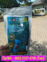 0822 3127 4749 Tsel Beli Penjernih Kolam Koi Berbusa Keruh Berkabut Bergelembung Claykoi Di 2020 Kolam Ikan Ikan Hijau
