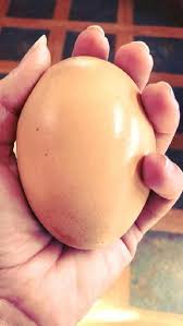 Dakwa gambar disunting, bung kongsi sendiri gambar pegang telur. Foto Bikin Bingung Pakar Ada Telur Berisi Telur Di Australia