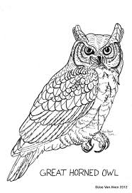 In front of white background. Great Horned Owl Coloring Pages
