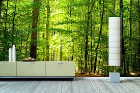 348,000+ vectors, stock photos & psd files. Wallpaper Into The Forest