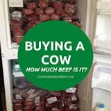 How much meat is half a cow?