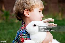 Boy Child With White Bunny Rabbit Easter Love Affection Stock Photo