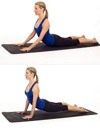 The Difference Between Cobra And Upward Facing Dog Cobra Pose Upward Facing Dog Yoga Asanas