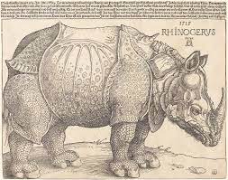 Design, model, present, analyze, realize. Category Durer S Rhinoceros Wikimedia Commons