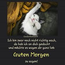 Wer seiner freundin oder dem mann seiner träume ein süßes bild mit spruch am dienstag. Guten Morgen Bilder Fur Dienstag