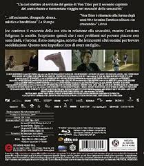 Nymphomaniac Vol.2: Amazon.it: Gainsbourg,Skarsgard, Gainsbourg,Skarsgard:  Film e TV