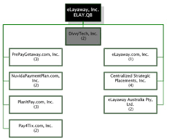 elayaway inc form 10 k a august 29 2012