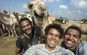 The country is getting its first movie theatres. A Beauty Contest For Camels It S Happening At Saudi Arabia S Month Long Camel Festival Sherpa Land