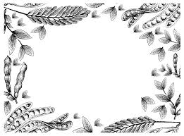 Seeds of plants are different shapes, sizes, and colors. Hand Drawn Of Twisted Cluster Beans And Fava Bean Drawing By Iam Nee