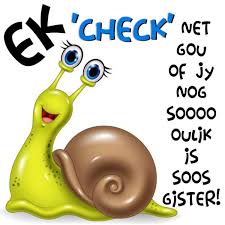 Pin By Esme Duvenhage On Vriendin Afrikaans Afrikaans Quotes Goeie More