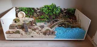 Great Hamster Cage Hamster Cage Hamster Habitat Hamster Cages